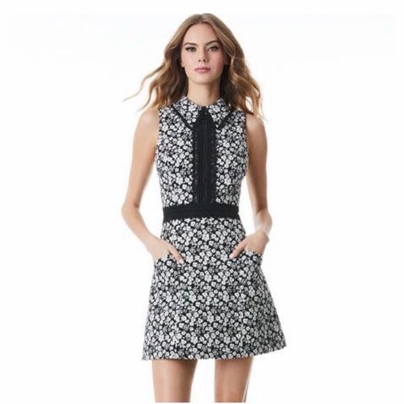 NWT Alice and Olivia Ellis Dress Size 4 - Picture 4 of 11